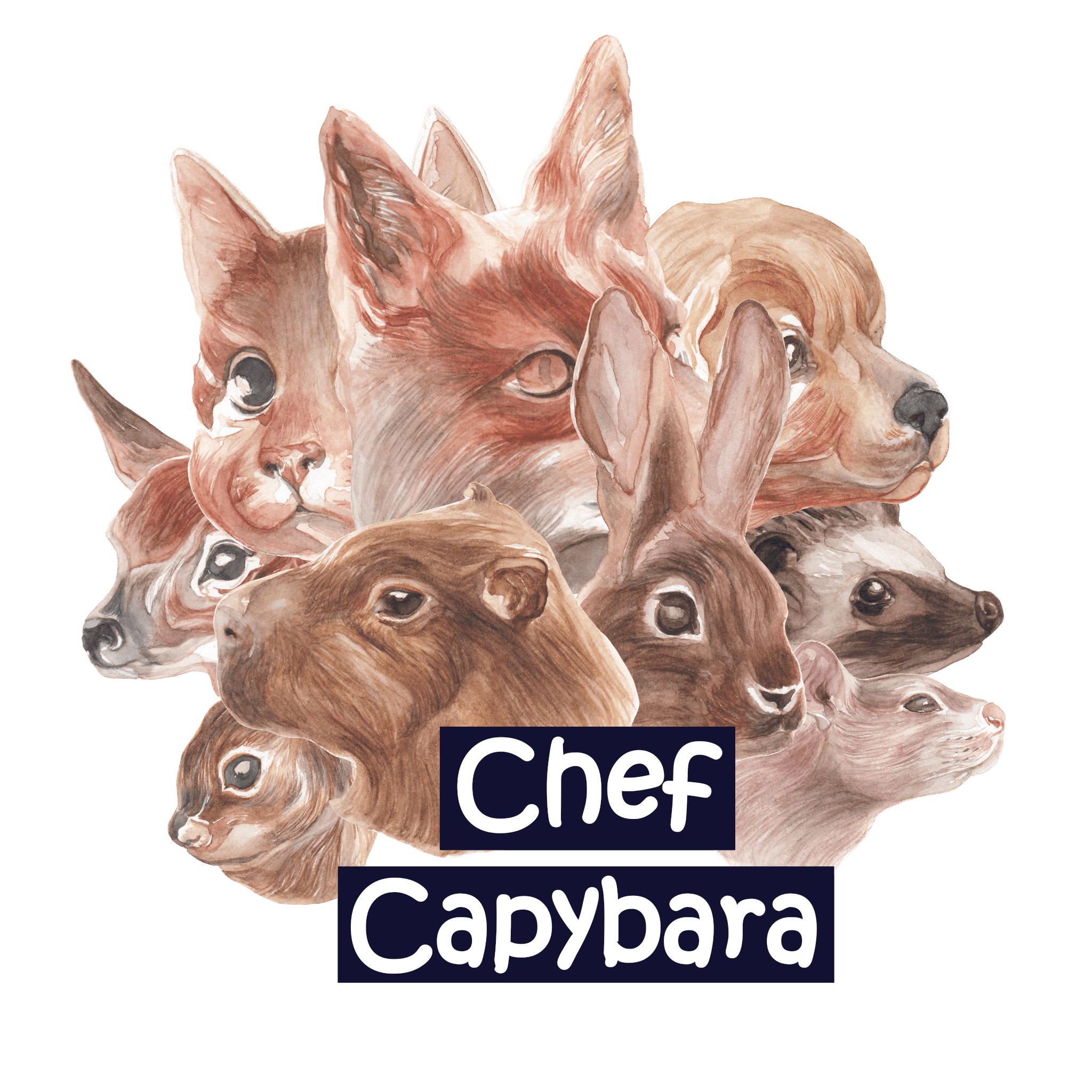 Chef Capybara